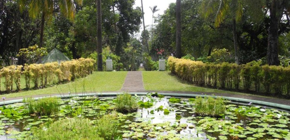 Botanical Gardens, St. Vincent & Grenadines